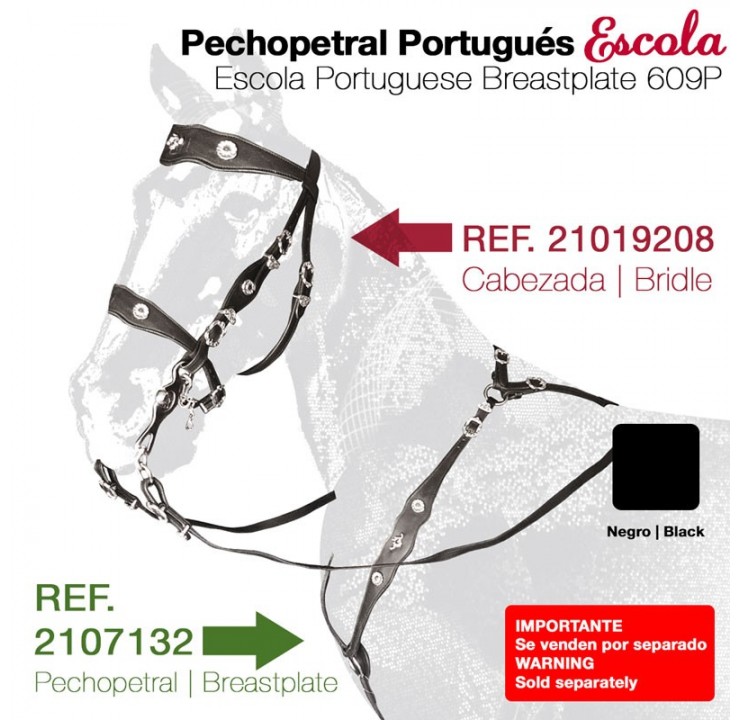 21071320001-PORTUGUES-ESCOLA-BREASTPLATE.jpg