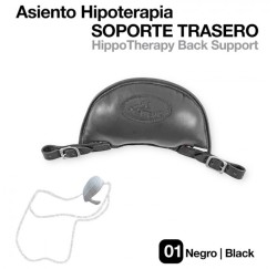 210452 Hypotherapy Back Support