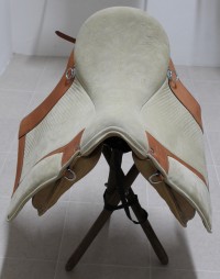 MFonseca-saddle.JPG
