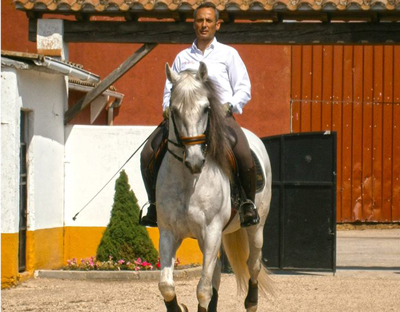 SPANISH COUNTRY, PORTUGUESE & WORKING EQUITATION SPANISH COUNTRY, PORTUGUESE & WORKING EQUITATION